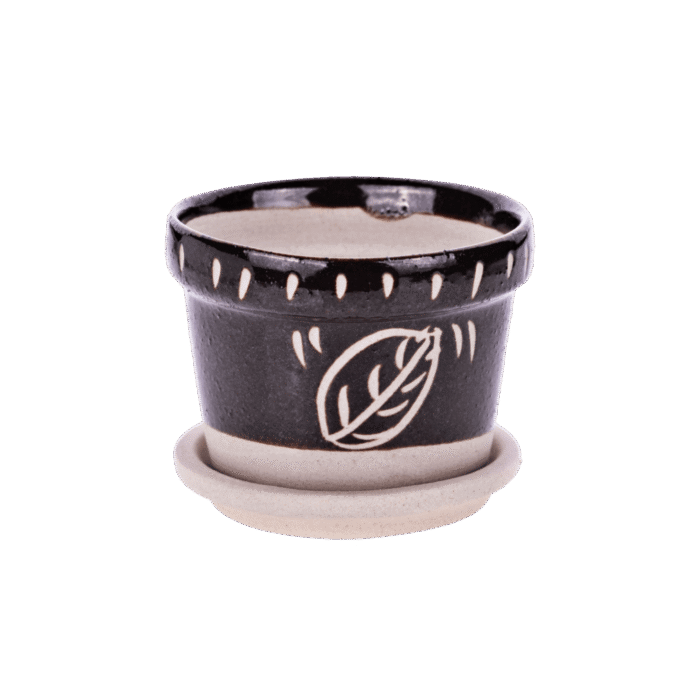 Petite coupelle de plantation